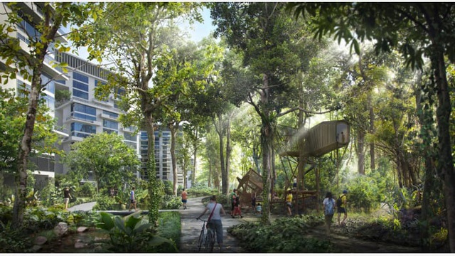 Singapore xây dựng đô thị rừng giữa lòng thành phố - 6